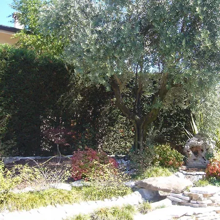 Hotel Verona 3*